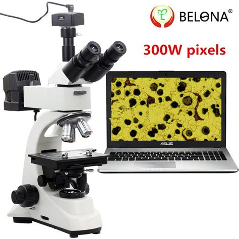 Muou Brand Professional Metallographic Biological Microscope Trinocular