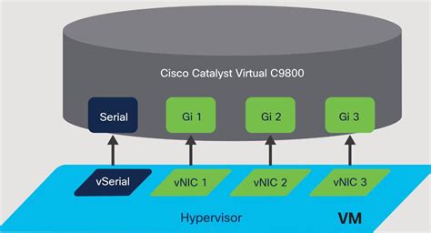 Cisco Catalyst CL Wireless Controller HA SSO Configuration Guide