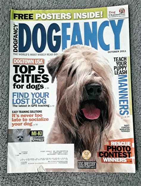 Dog Fancy October 2011 Magazine Fancy Dog Puppy Leash Losing A Dog