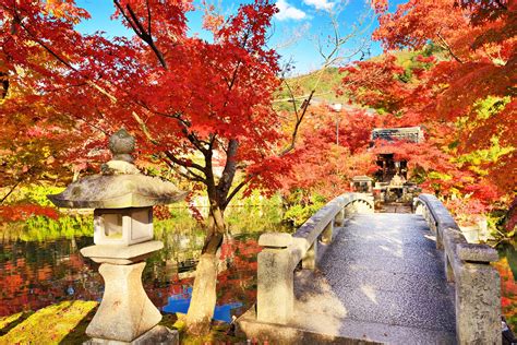 Best Places In Japan For Autumn Foliage Photos Cantik