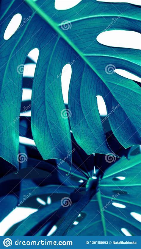 Blue White Indigo Tropical Texture Green Leaves Pattern Background