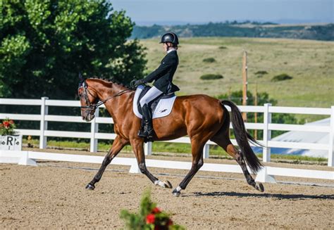 Colorado Horse Park Comes Alive With The Usea Classic Series