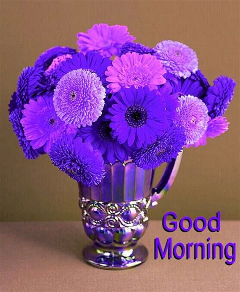 Morning Purple Good Morning Roses Good Morning Greetings Happy Morning