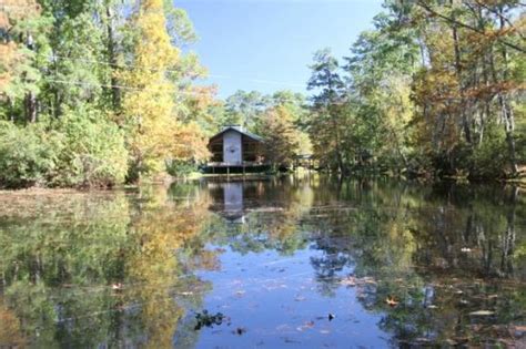 Check spelling or type a new query. One of our cabins - Picture of The Retreat at Artesian ...