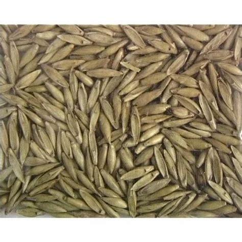 Horticultural Impex Natural Bambusa Arundinacea Seeds Packaging Type