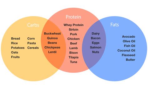 We show busy people how to lose weight while eating the foods they love. Macro Food List! | Forge RX