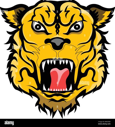 Angry Tiger Head Stock Vector Image Art Alamy