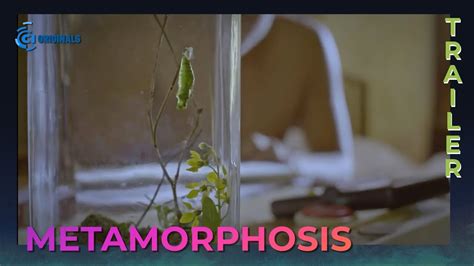 Metamorphosis Movie Trailer Cinema One Originals 2019 Youtube