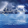 CD349 Quiet Storm - New World Music