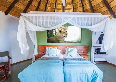 Chobe Safari Lodge Botswana Specialists