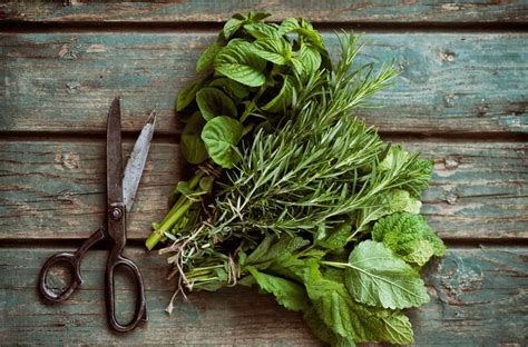 Best Guide To Fresh Herbs Flavors And Pairings