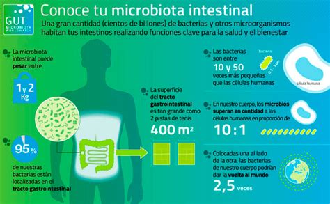 Microbiota Intestinal Balker Labs