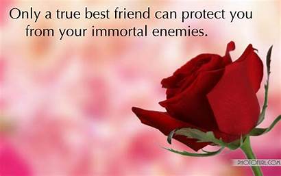 Friendship Friends Friend Wallpapers Quotes Rose Background
