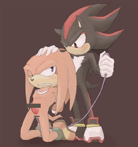 Rule 34 Censored Fur Knuckles The Echidna Shadow The
