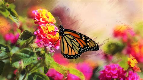 Download Wallpaper 3840x2160 Monarch Butterfly Flowers Macro Bright
