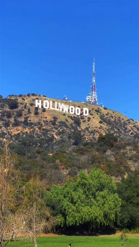 Best View Of The Hollywood Sign Ever An Immersive Guide By Alexis Murphy