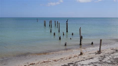 Chelem Yucatán México A Ruined Pier On The Gulf Coast Of Yucatan