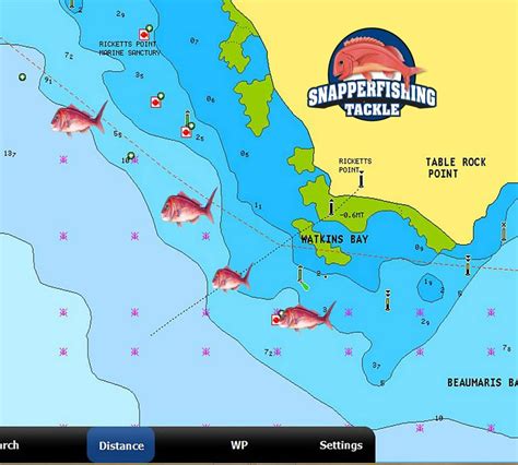 Gps Marks Port Phillip Bay Fishing Spots Location Melbourne Landbased