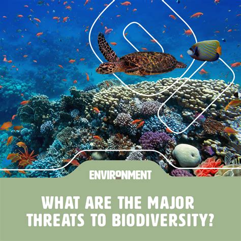 What Are The Major Threats To Biodiversity Environment Co