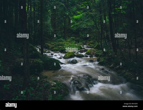 Japanese Wilderness Hi Res Stock Photography And Images Alamy