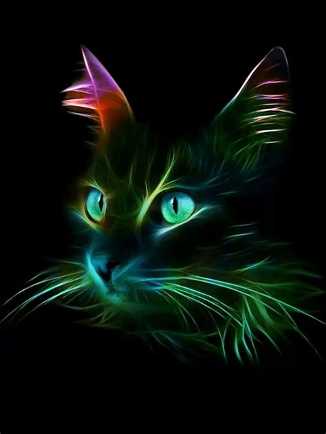 Neon Cat Wallpapers High Quality Download Free