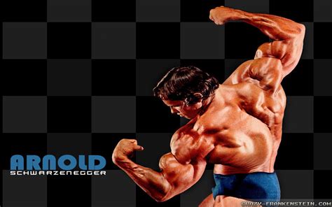 Arnold Bodybuilding Wallpapers Wallpaper Cave