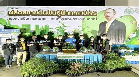 รัฐมนตรีเกษตรฯ ส่งมอบฟ้าทะลายโจร ผ่านกรมส่งเสริมการเกษตร ให้เกษตรกรนำไปขยายพันธุ์ - Thai Good Herbal