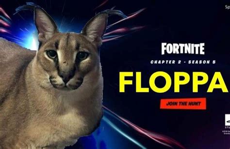 Big Floppa Is In Fortnite Bigfloppa Funny Cat Pictures Cat Pics