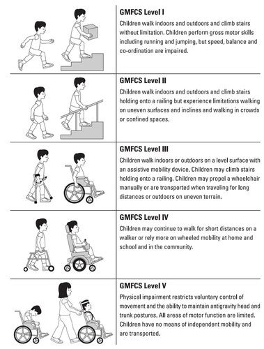 cerebral palsy and spina bifida flashcards quizlet