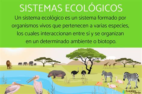 ¿qué Significa Ecológico Significado Ecológico Tecnología Ambiental
