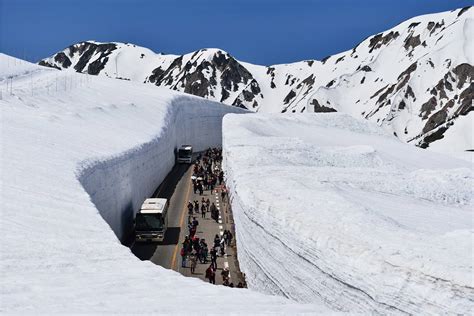 Tateyama Kurabe Alpine Route Menikmati Jalan Yang Berdinding Salju