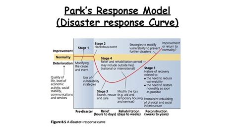 Disaster Response Curve Images All Disaster Msimagesorg