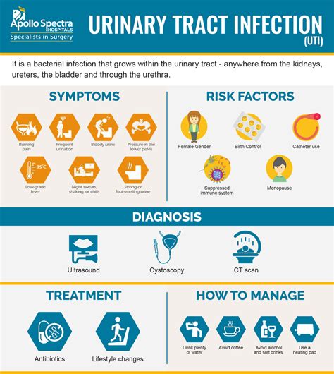 What Is Uti Urinary Tract Infection And How It Is Diagnosed