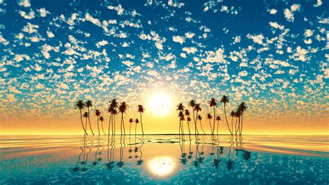 3840x2160 Palm Trees Reflection Sunset 4k Wallpaper Hd Nature 4k