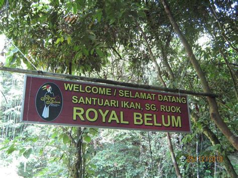 Taman negeri royal belum terletak di utara hujung perak. Taman Negeri Hutan Royal Belum | D_08