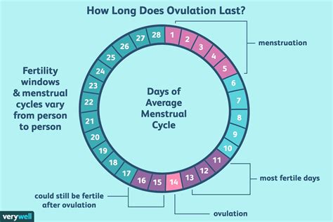 Ovulation Calendar 3 Week Cycle Month Calendar Printable