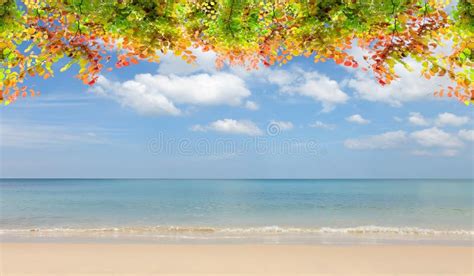 Beautiful Autumn Leaves Frame On Beach And Sky Scenery Background
