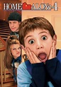 Home Alone 4: Taking Back the House Movie Poster - ID: 97589 - Image Abyss