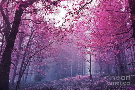 Pink Forest Digital Art By Scottyworld Artists