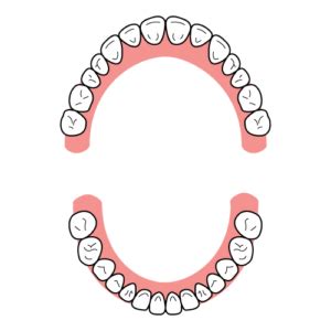 How to use petlab co. » dental_formula_type_u
