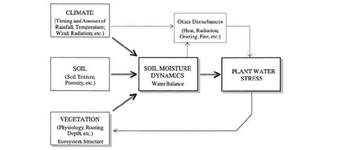 Schematic Representation Of The Climatesoilvegetation System