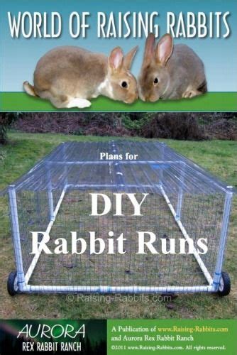 Pin On Raising Rabbits