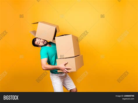 Moving Day Busy Funny Image And Photo Free Trial Bigstock