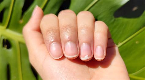Healthy Fingernails