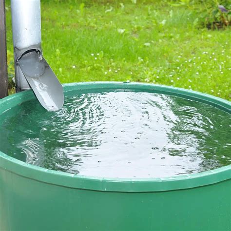 How To Collect Rainwater For Drinking Best Easy Ways