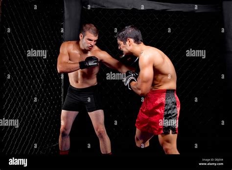Mixed Martial Artists Fighting Punching Stock Photo Alamy