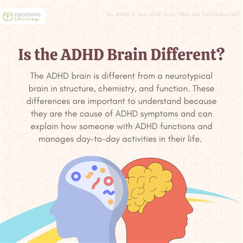 Adhd Brain Vs Normal Brain Differences Explained