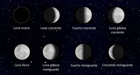 Especial Horóscopo Lunar Cómo Las Fases Lunares Afectan A Cada Signo