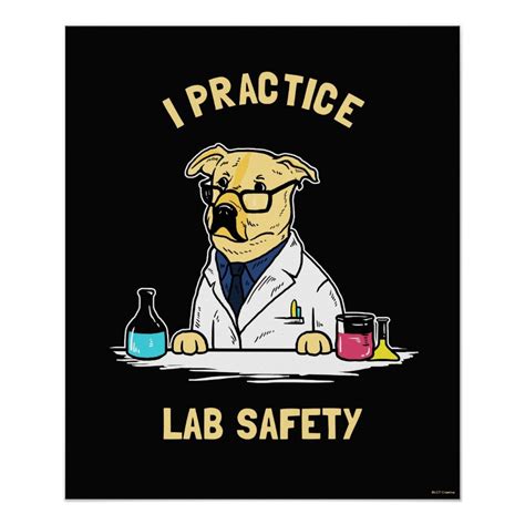 Flinn scientific has been providing all your educational needs in laboratory safety for nearly 40 years, whether it is supplies, training or general information, we are here to help you provide a safe environment for your laboratory and classroom. I Practice Lab Safety Poster | Zazzle.com | Lab safety, Science safety posters, Safety posters