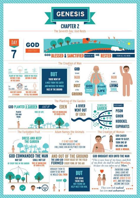 Genesis Infographics Genesis Bible Study Genesis Bible Bible Study
